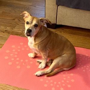 Meet your Posher, Michelle